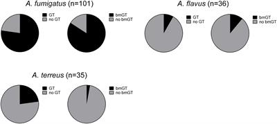 Production of the Invasive Aspergillosis Biomarker Bis(methylthio)gliotoxin Within the Genus Aspergillus: In Vitro and in Vivo Metabolite Quantification and Genomic Analysis